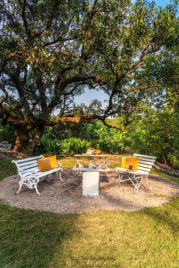 Saffronstays Chikoo Wadi- 3Bdr Pet-Friendly Villa With Pool In Boisar Экстерьер фото